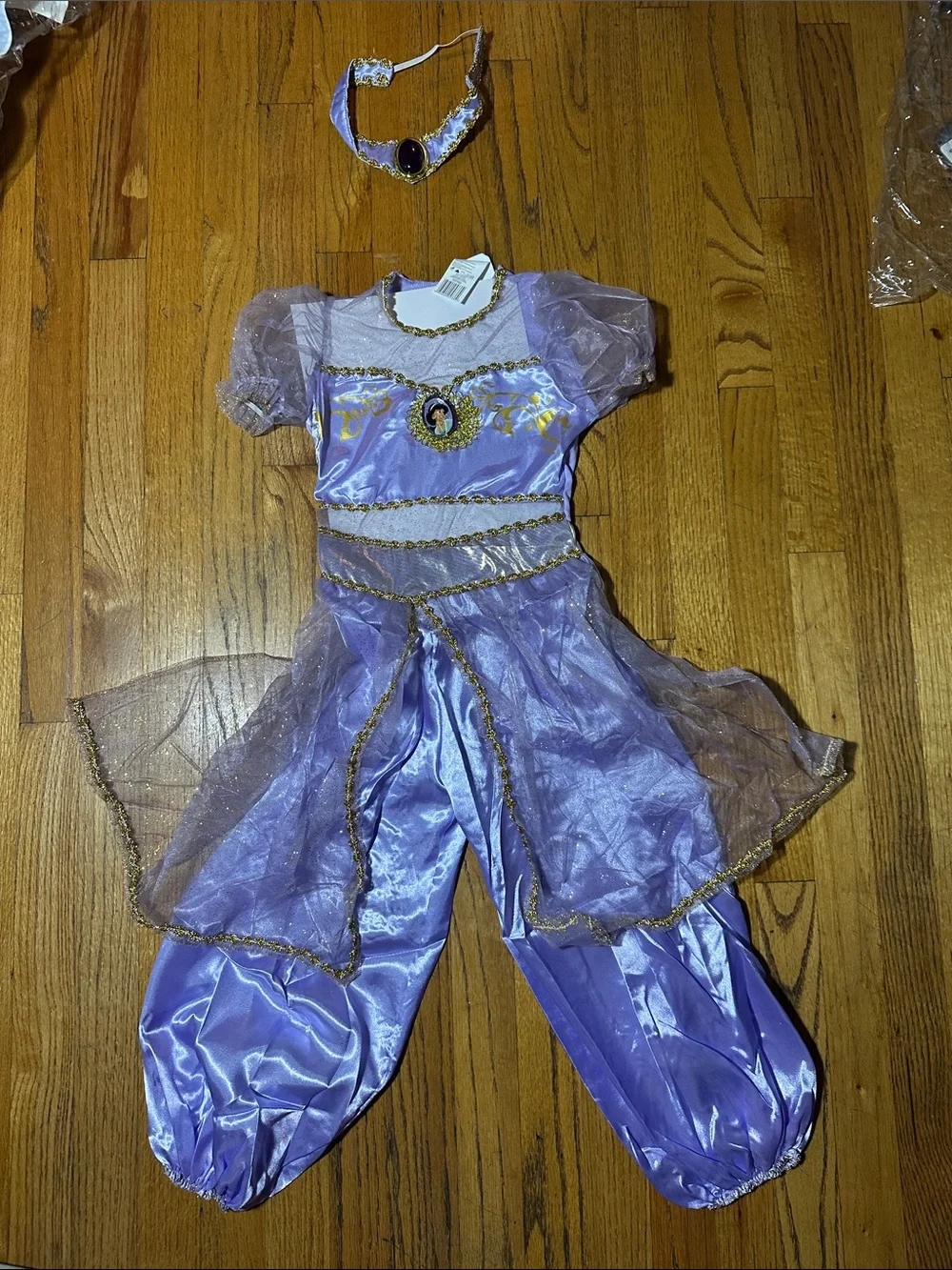 Disney Jasmine Purple and Gold Deluxe Child Costume